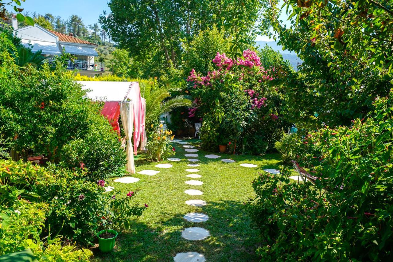 Angel Villa - Thassos Town Exteriör bild